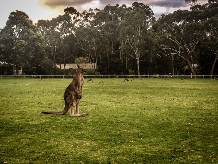 photo d'Australie 2015 d'Emmanuelle Rochard