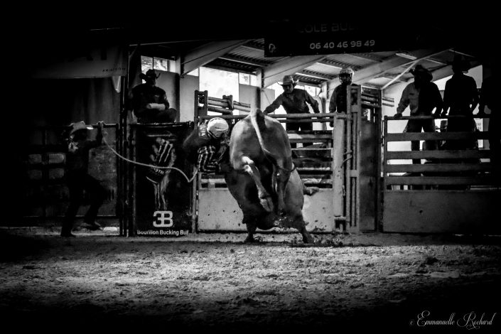 photo de rodéos du American Horse Show 2021 d'Emmanuelle Rochard
