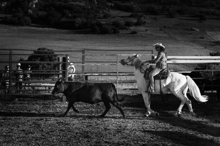 photo de cheval du Randals Bison 2022 d'Emmanuelle Rochard