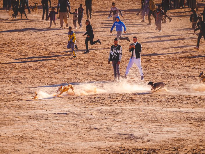 photo de sloughi du Festival du Sahara de Douz 2022 d'Emmanuelle Rochard