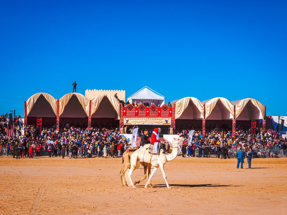 photo de chameaux du Festival du Sahara de Douz 2022 d'Emmanuelle Rochard