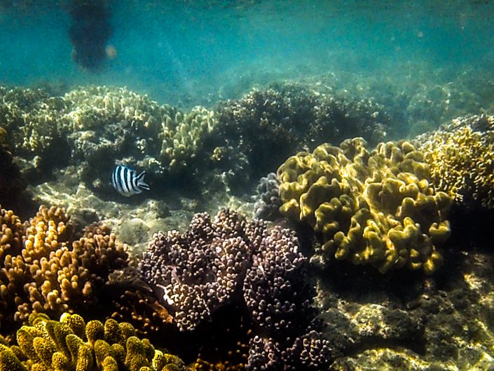 photo océan d'Australie 2015 d'Emmanuelle Rochard