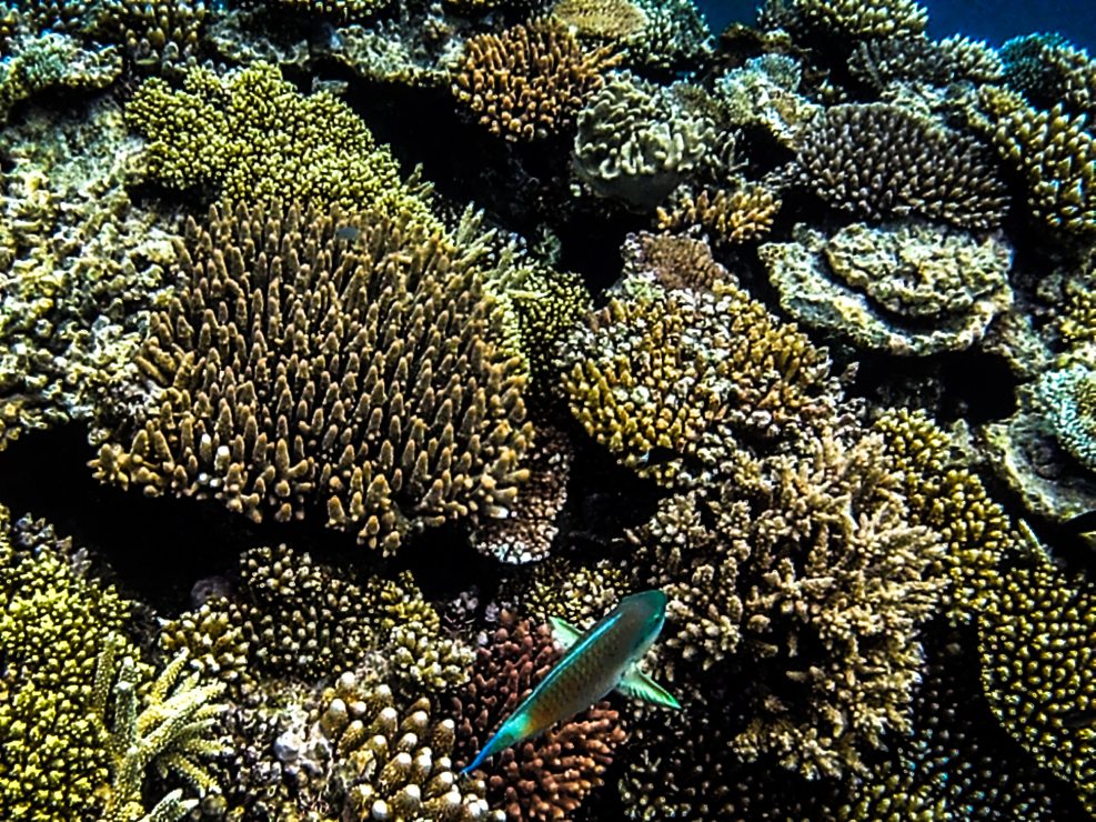 photo océan d'Australie 2015 d'Emmanuelle Rochard