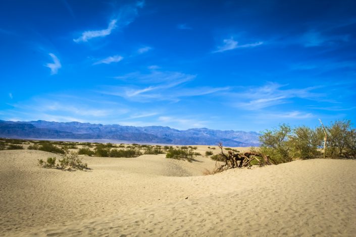 photo de desert de West Coast USA 2020 d'Emmanuelle Rochard